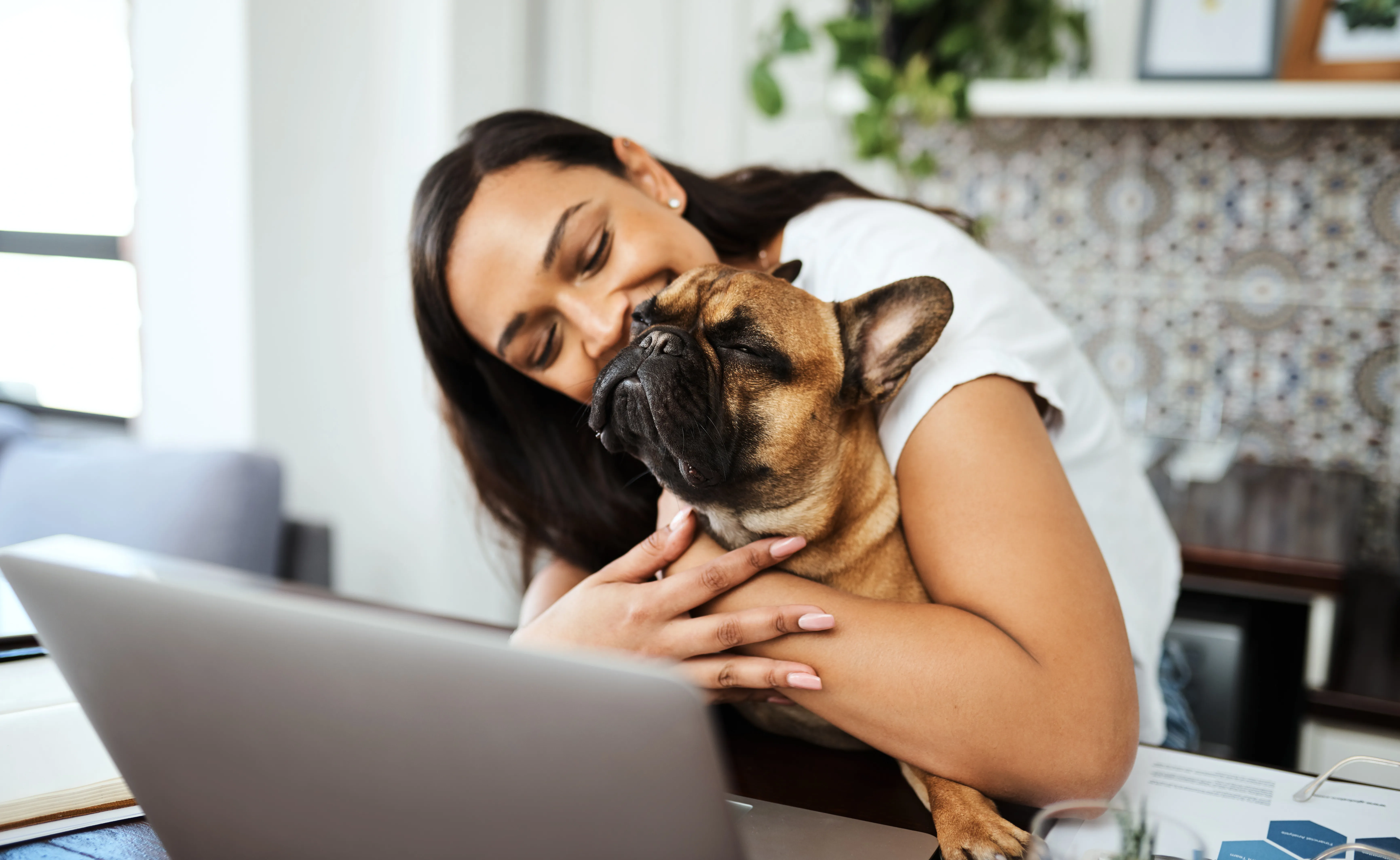 Dog Waker typing contract on laptop for dog owner